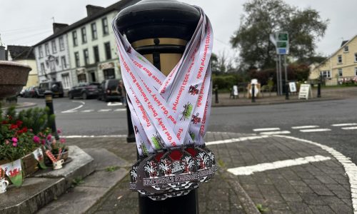 Devil's staircase ultra trail race medals