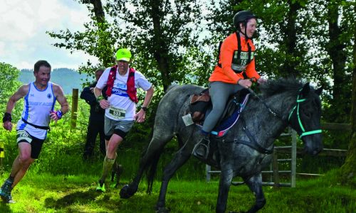 Man versus horse Get Jerky by Trailhead